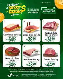 Catálogo Cocipa Página 1