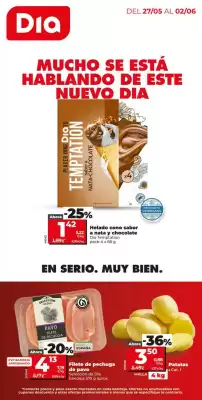 La Plaza de DIA (válido hasta el 2-06)