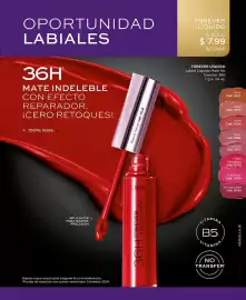 Catálogo L'bel Página 47