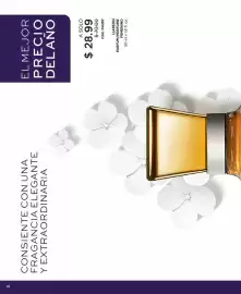 Catálogo L'bel Página 18