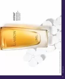Catálogo L'bel Página 19