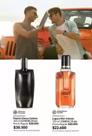 Catálogo Avon Página 101