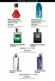 Catálogo Avon Página 109