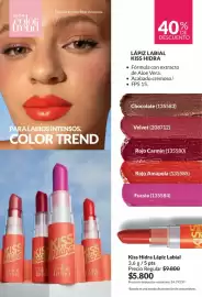 Catálogo Avon Página 29