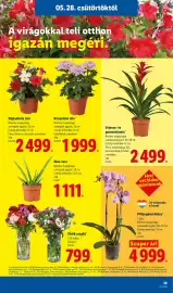 Lidl akciós újság hét 22 Oldal 19