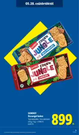 Lidl akciós újság hét 22 Oldal 3