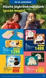 Lidl akciós újság hét 22 Oldal 31