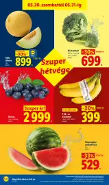 Lidl akciós újság hét 22 Oldal 46