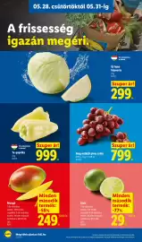 Lidl akciós újság hét 22 Oldal 6