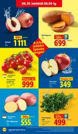 Lidl akciós újság hét 22 Oldal 64