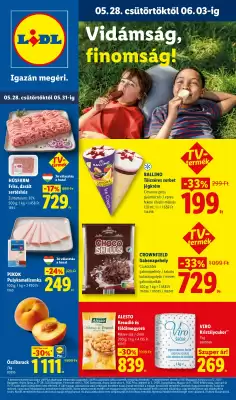 Lidl akciós újság