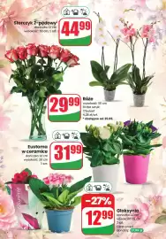 Dino gazetka Strona 4