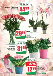 Dino gazetka Strona 4