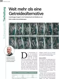 Lagerhaus Flugblatt Seite 30