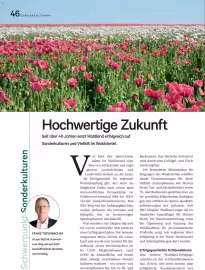 Lagerhaus Flugblatt Seite 46