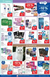 Budni Prospekt woche 23 Seite 5