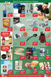 Budni Prospekt woche 23 Seite 7