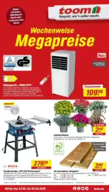 Toom Baumarkt Prospekt woche 21 Seite 3