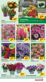 Toom Baumarkt Prospekt woche 21 Seite 9