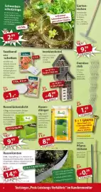 Sonderpreis Baumarkt Prospekt woche 22 Seite 4