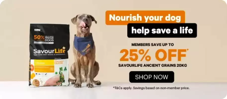 Petbarn catalogue (valid until 3-06)