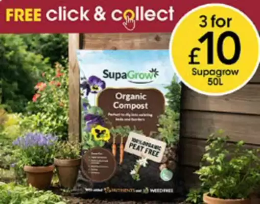 Wilko (valid until 8-06)
