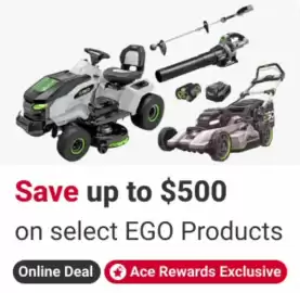 Ace Hardware flyer week 21 Page 1