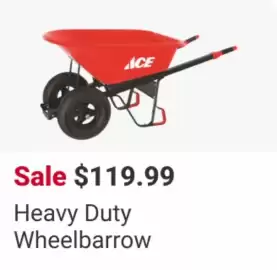 Ace Hardware flyer week 21 Page 16