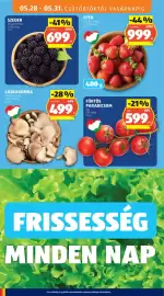 ALDI akciós újság hét 22 Oldal 10