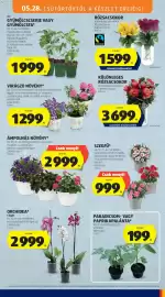 ALDI akciós újság hét 22 Oldal 33