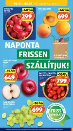 ALDI akciós újság hét 22 Oldal 35