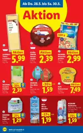 Lidl Flugblatt woche 22 Seite 10