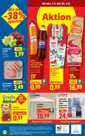 Lidl Flugblatt woche 22 Seite 31