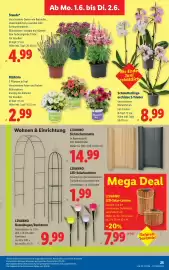 Lidl Flugblatt woche 22 Seite 32