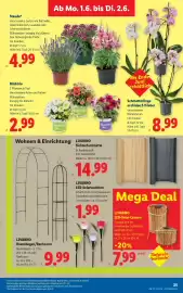 Lidl Flugblatt woche 22 Seite 32