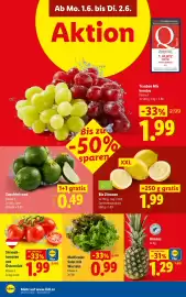 Lidl Flugblatt woche 22 Seite 39