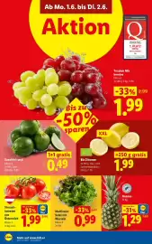 Lidl Flugblatt woche 22 Seite 39
