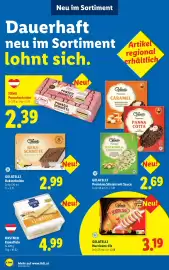 Lidl Flugblatt woche 22 Seite 49