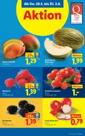 Lidl Flugblatt woche 22 Seite 5