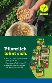 Lidl Flugblatt woche 22 Seite 52
