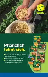 Lidl Flugblatt woche 22 Seite 52