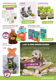 Pets & Co folder Pagina 3