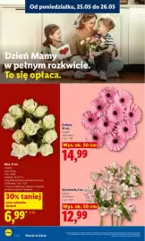 Lidl gazetka Strona 4