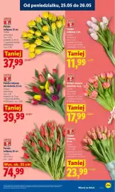 Lidl gazetka Strona 5