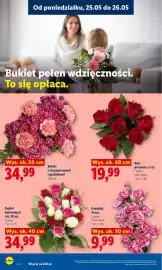 Lidl gazetka Strona 6