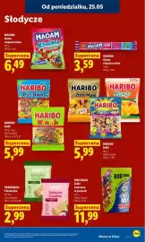 Lidl gazetka Strona 61