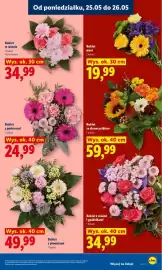 Lidl gazetka Strona 7