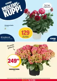 Coop Extra kundeavis uke 22 Side 26