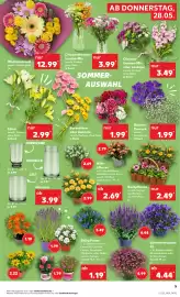 Kaufland Prospekt woche 22 Seite 5