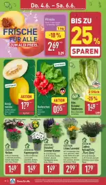 Aldi Nord Prospekt woche 23 Seite 29